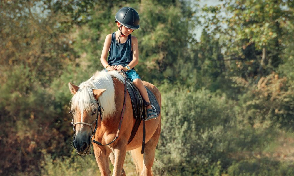 Healing Power of Horseback Riding