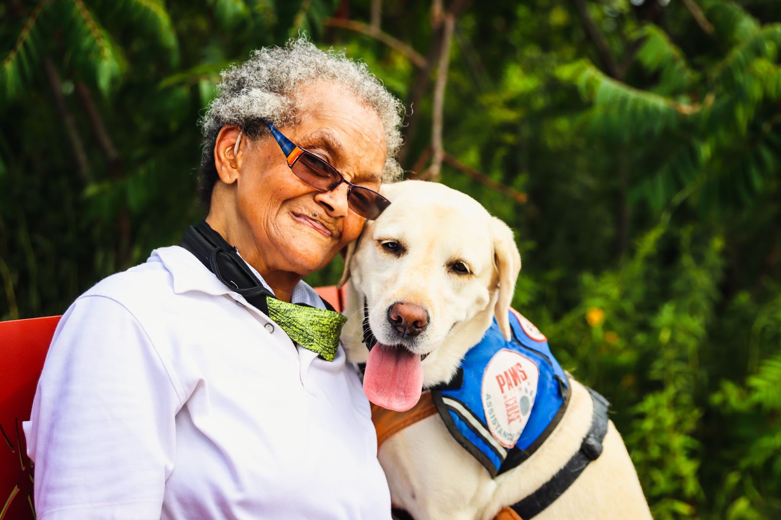 Caring for Our Aging Canine Friends
