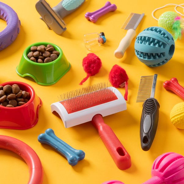 A Guide to Purchasing Quality Dog Accessories in Singapore Online