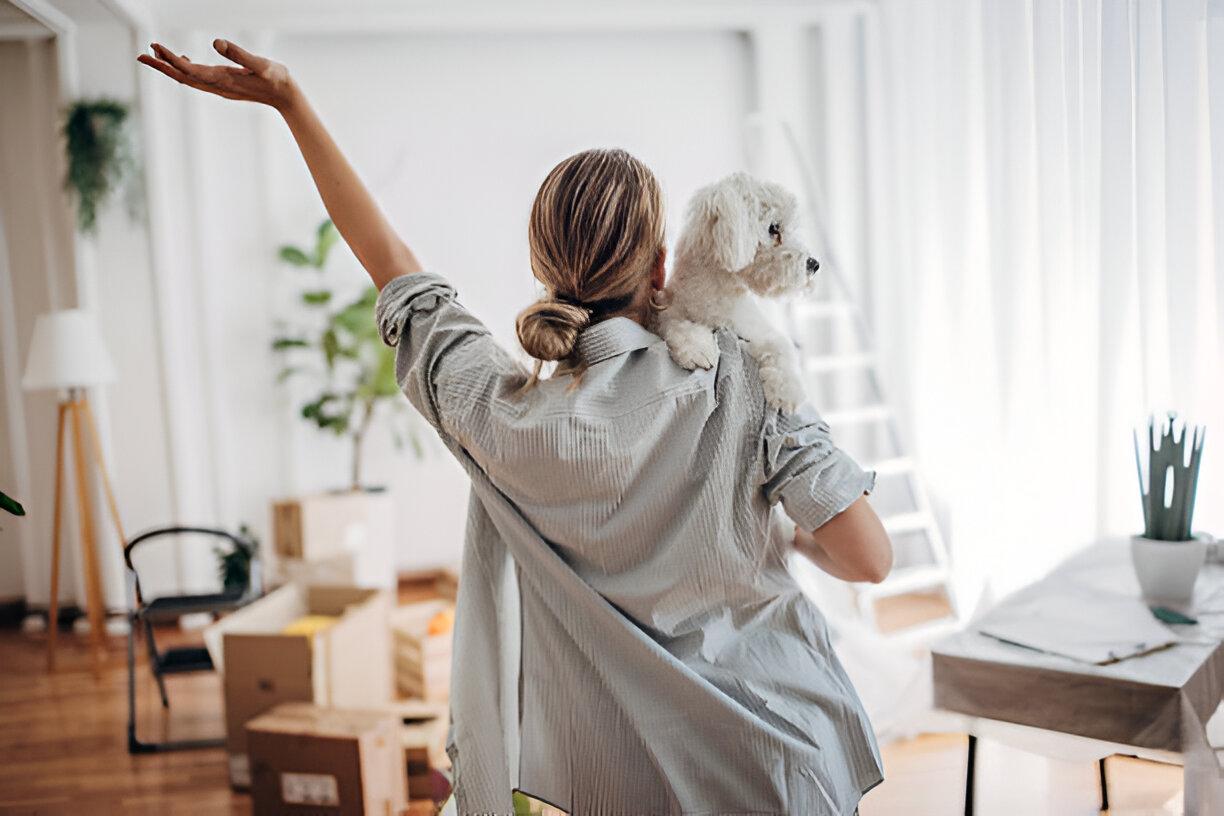 Many Reasons for Hiring the Help of The Pet Relocators