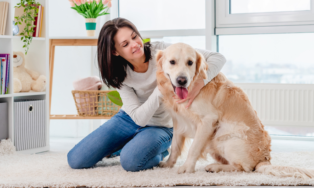 Pet Placement