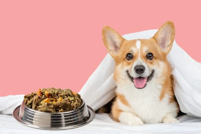 Atrophy of Taste Buds in Dogs When Fed the Same Kibble for Long Periods