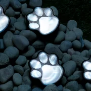 Paw Print Kit