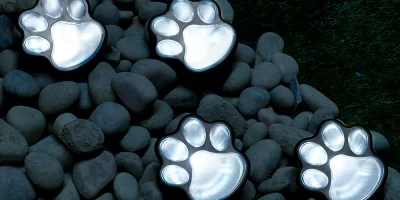 Paw Print Kit