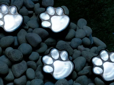 Paw Print Kit