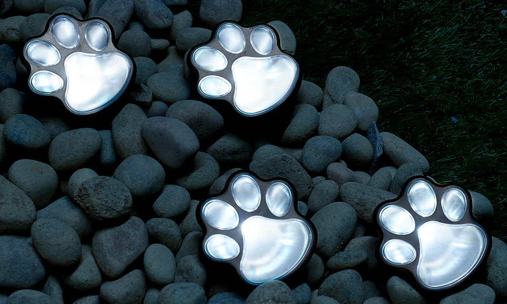 Paw Print Kit