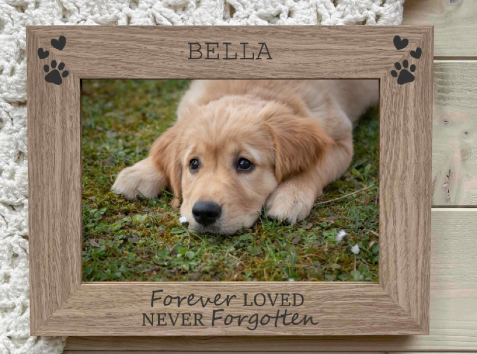 Honouring Memories and Healing Hearts Through Pet Remembrance